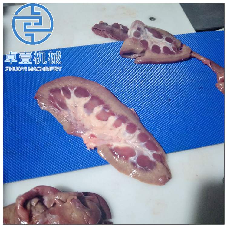 山东卓壹大型鸡胸肉鸭胸肉切丁机 商用鱼肉切丁机不锈钢山药切条机