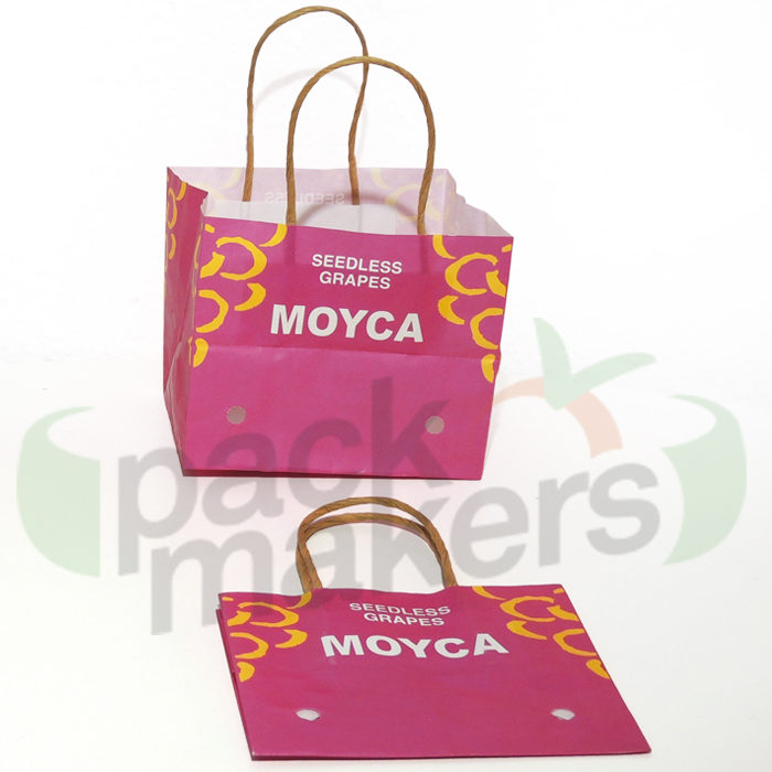 Wet Strength paper bag with ventilation and white handle for fruits