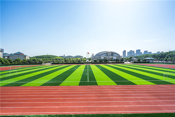 专业人造草足球场施工建设价格费用