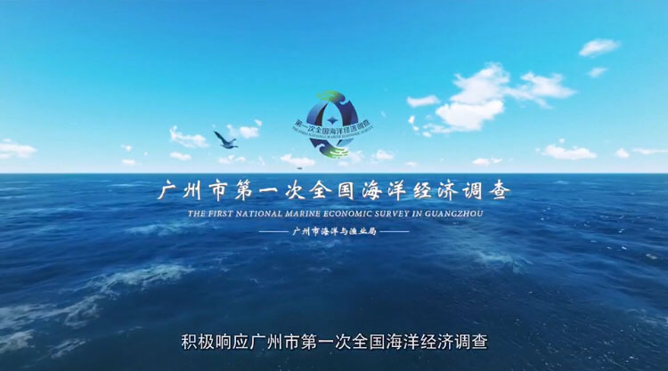 {dy}次全国海洋经济调查