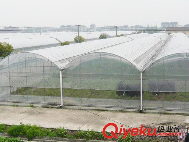 溫室大棚建設-山東華亮溫室-薄膜溫室廠家原始圖片2