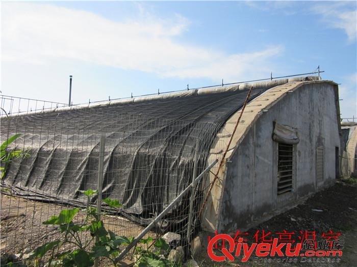 新式日光溫室大棚——山東華亮致力建造日光溫室大棚