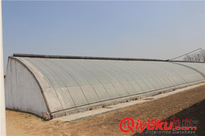 新式日光溫室大棚——山東華亮致力建造日光溫室大棚