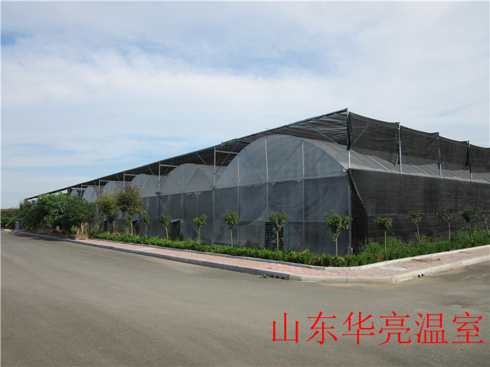 连栋温室大棚哪家便宜- 华亮连栋温室大棚建设公司-塑料连栋温室