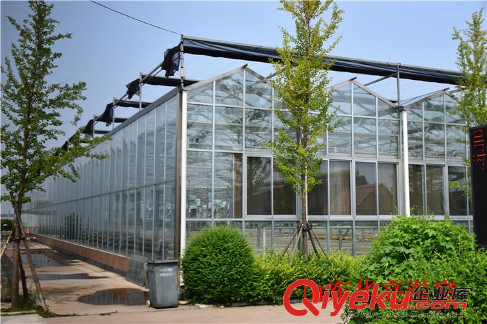 連棟溫室大棚建設公司——連棟溫室大棚造價