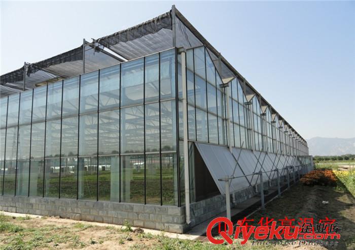 連棟玻璃溫室——山東華亮玻璃溫室建造報價原始圖片3