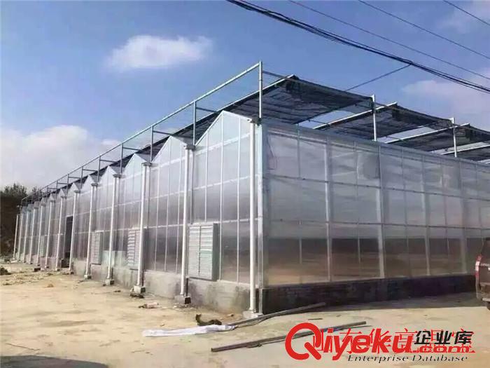陽光板溫室大棚每平米造價-山東華亮文洛式陽光板溫室制造廠家