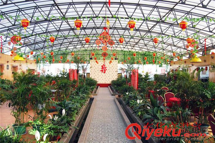 大棚生態(tài)餐廳——華亮生態(tài)餐廳溫室大棚建造原始圖片3