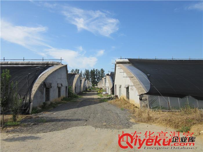 大棚生態(tài)餐廳——華亮生態(tài)餐廳溫室大棚建造