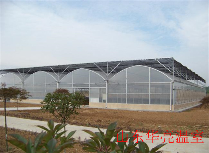 連棟玻璃溫室--育苗玻璃溫室--玻璃溫室大棚建造