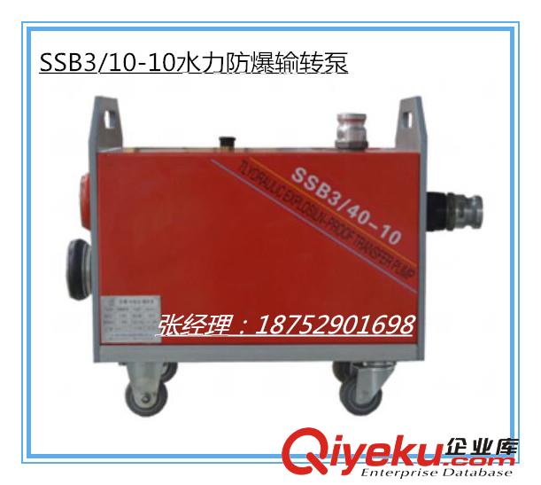 SSB3/40-10水力防爆輸轉泵原始圖片2