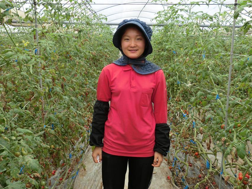 沈陽出國工作_日本農業種植