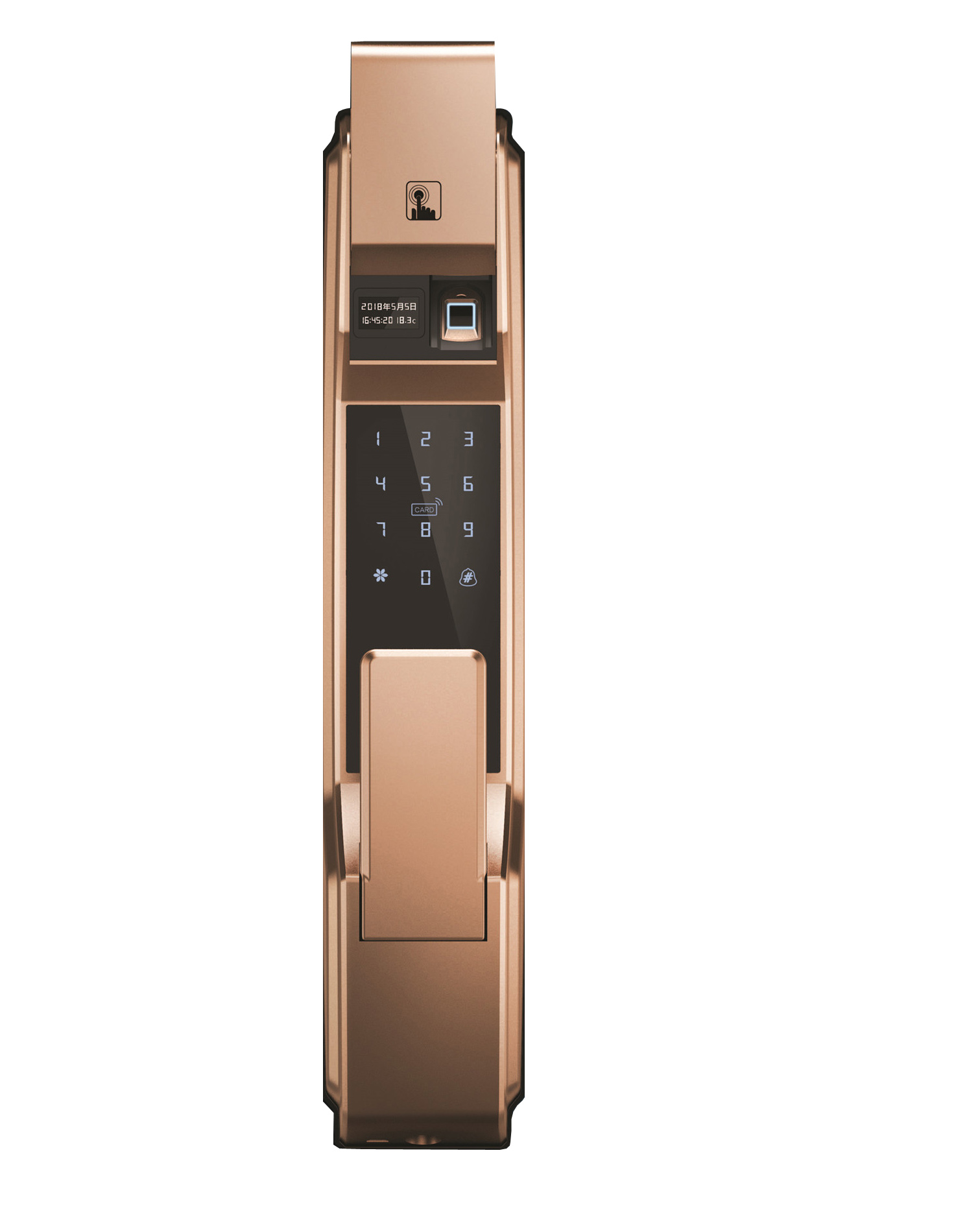 S1-Champagne
