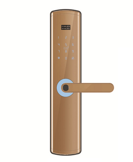 P1-Aluminum alloy fingerprint lock (champagne gold) 
